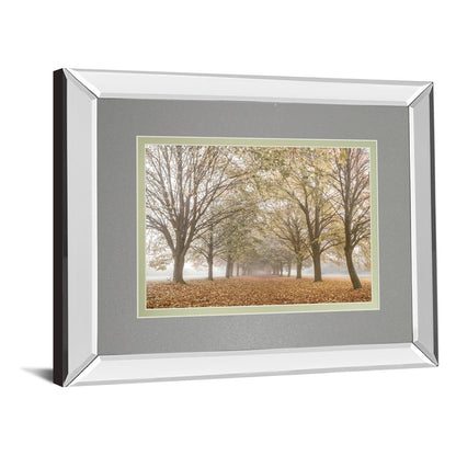 Classy Living Autumn Pathway Wall Art 40x34in | Country/Farmhouse Mirrored Frame | Living Room & Hallway Decor | 40 x 34 x 3 in | Model DM5818MF