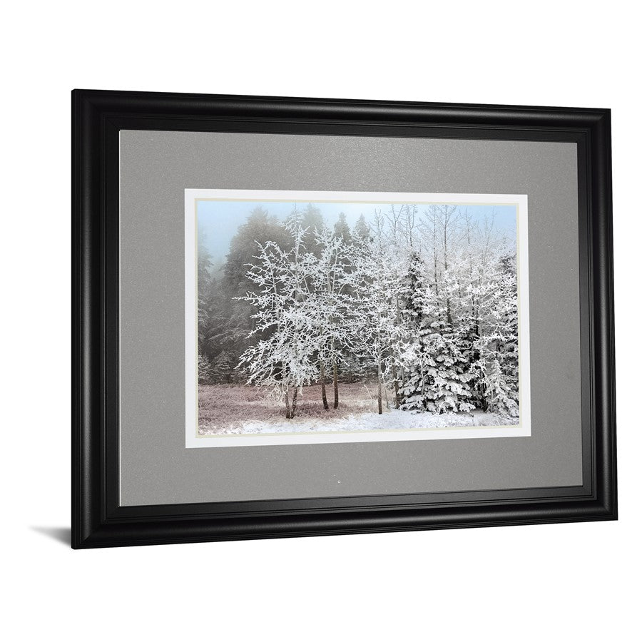 Classy Living Frosty Morning 40x34in Wall Art | Transitional Framed Print in Midnight Aura MDF Frame | Living Room & Bedroom Tranquil Decor | Model DM5827