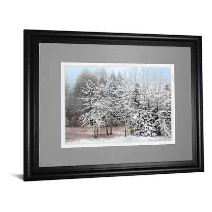 Classy Living Frosty Morning 40x34in Wall Art | Transitional Framed Print in Midnight Aura MDF Frame | Living Room & Bedroom Tranquil Decor | Model DM5827