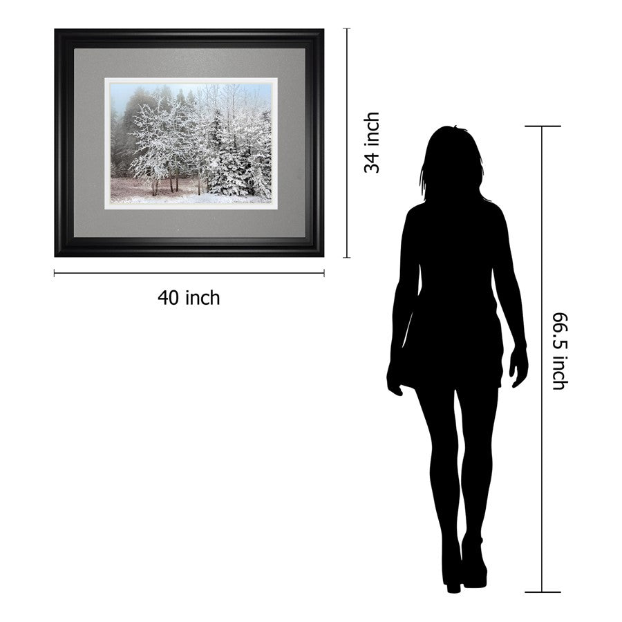 Classy Living Frosty Morning 40x34in Wall Art | Transitional Framed Print in Midnight Aura MDF Frame | Living Room & Bedroom Tranquil Decor | Model DM5827