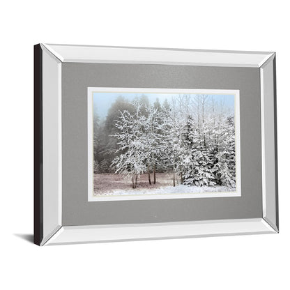 Classy Living Frosty Morning Wall Art 40x34in | Transitional Mirrored Frame | Living Room & Bedroom Winter Decor | 34 in H | Model DM5827MF