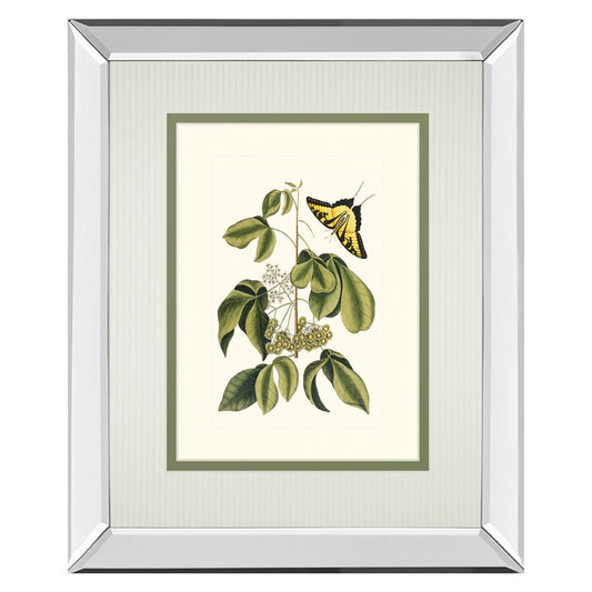 Classy Living Butterfly Elegance Wall Art 34x40in | Traditional Mirrored Frame with Real Glass | Living Room & Bedroom Botanical Decor | Model DM5886MF