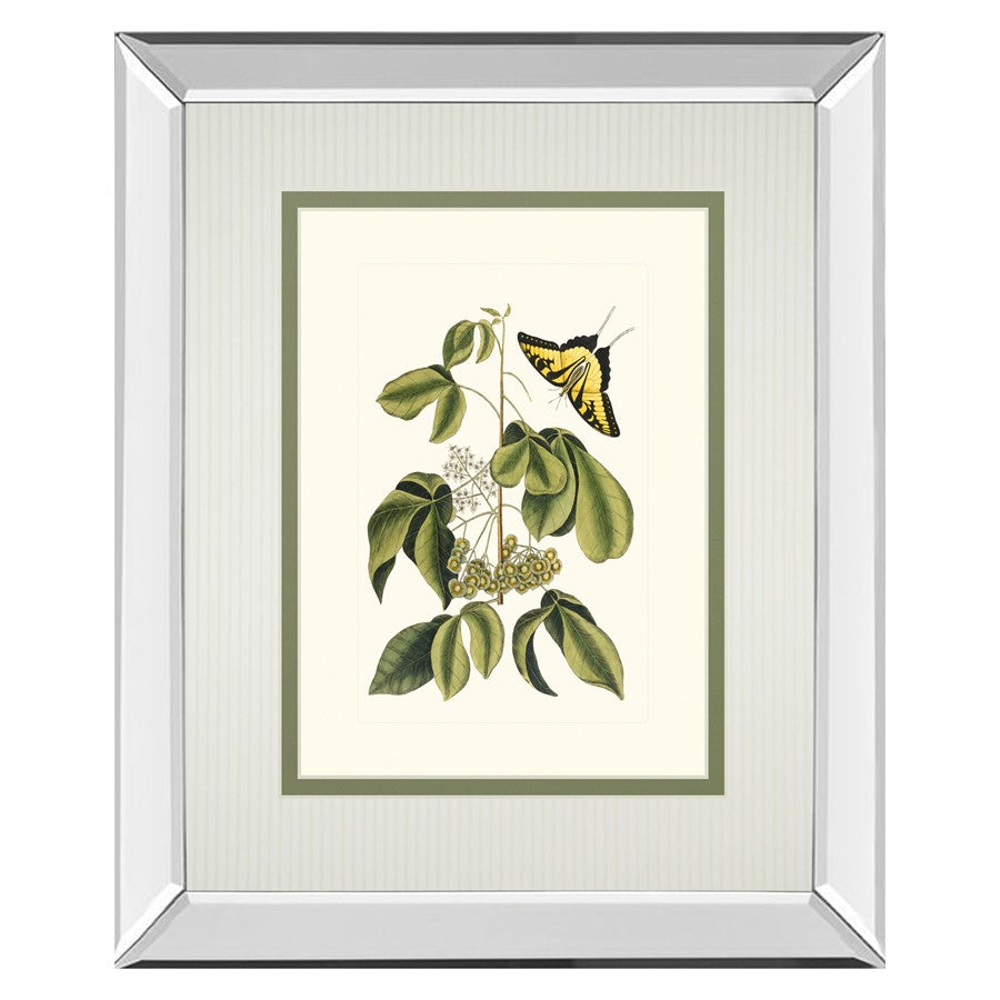 Classy Living Butterfly Elegance Wall Art 34x40in | Traditional Mirrored Frame with Real Glass | Living Room & Bedroom Botanical Decor | Model DM5886MF