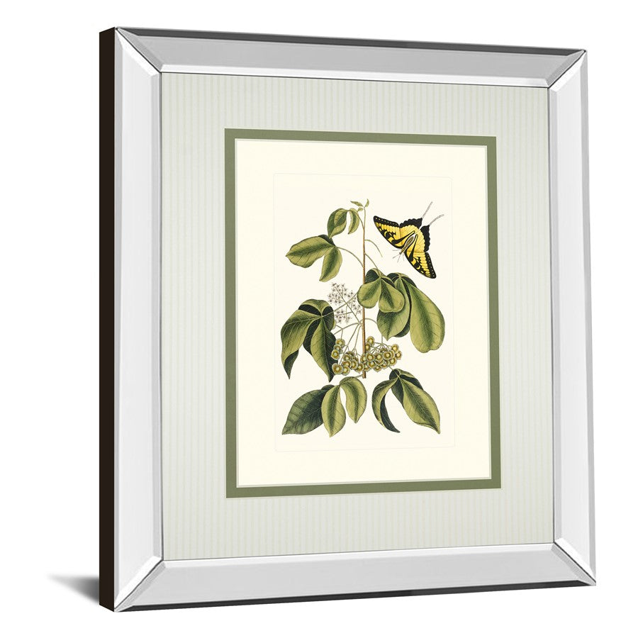 Classy Living Butterfly Elegance Wall Art 34x40in | Traditional Mirrored Frame with Real Glass | Living Room & Bedroom Botanical Decor | Model DM5886MF