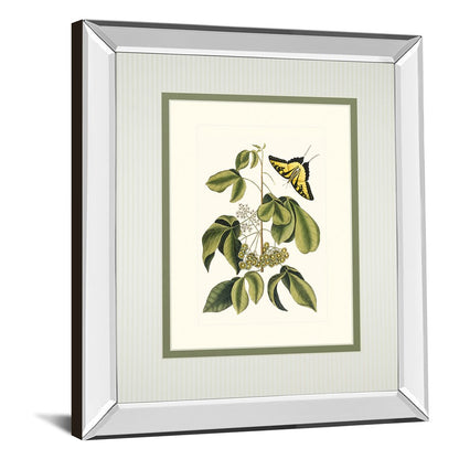 Classy Living Butterfly Elegance Wall Art 34x40in | Traditional Mirrored Frame with Real Glass | Living Room & Bedroom Botanical Decor | Model DM5886MF