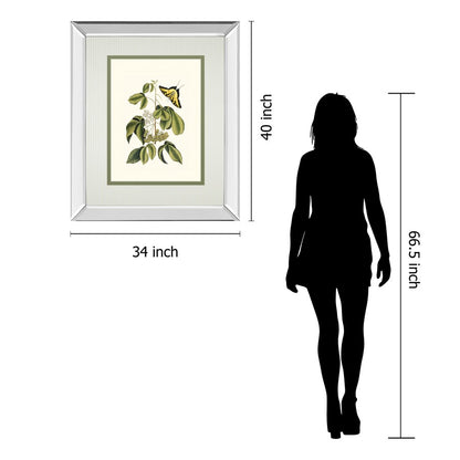 Classy Living Butterfly Elegance Wall Art 34x40in | Traditional Mirrored Frame with Real Glass | Living Room & Bedroom Botanical Decor | Model DM5886MF