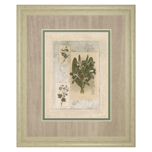 Classy Living Orchid Elegance 34x40in Wall Art | Transitional Ivory Bliss MDF Frame and Paper Print | Living Room, Bedroom & Office Decor | Model DM5888