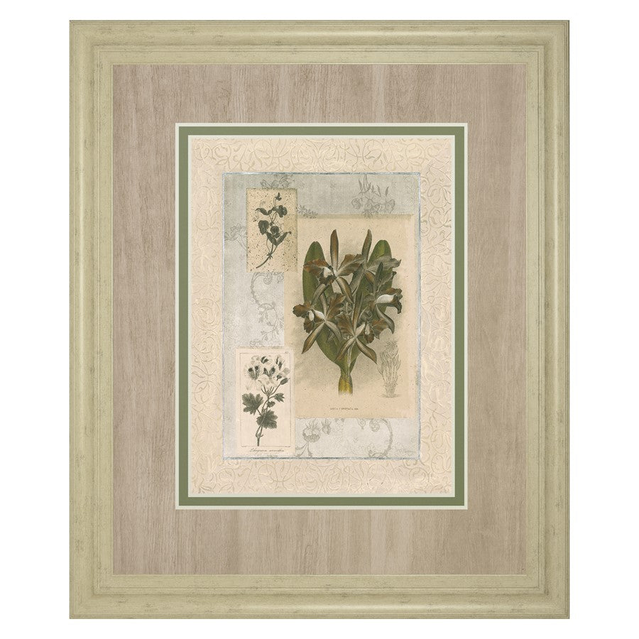 Classy Living Orchid Elegance 34x40in Wall Art | Transitional Ivory Bliss MDF Frame and Paper Print | Living Room, Bedroom & Office Decor | Model DM5888