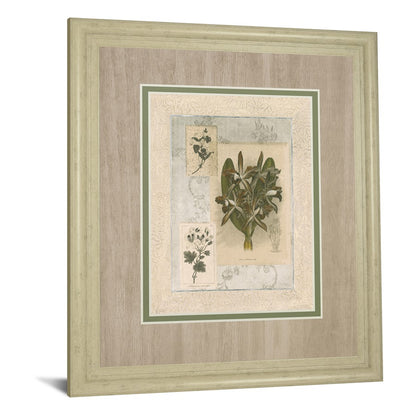 Classy Living Orchid Elegance 34x40in Wall Art | Transitional Ivory Bliss MDF Frame and Paper Print | Living Room, Bedroom & Office Decor | Model DM5888