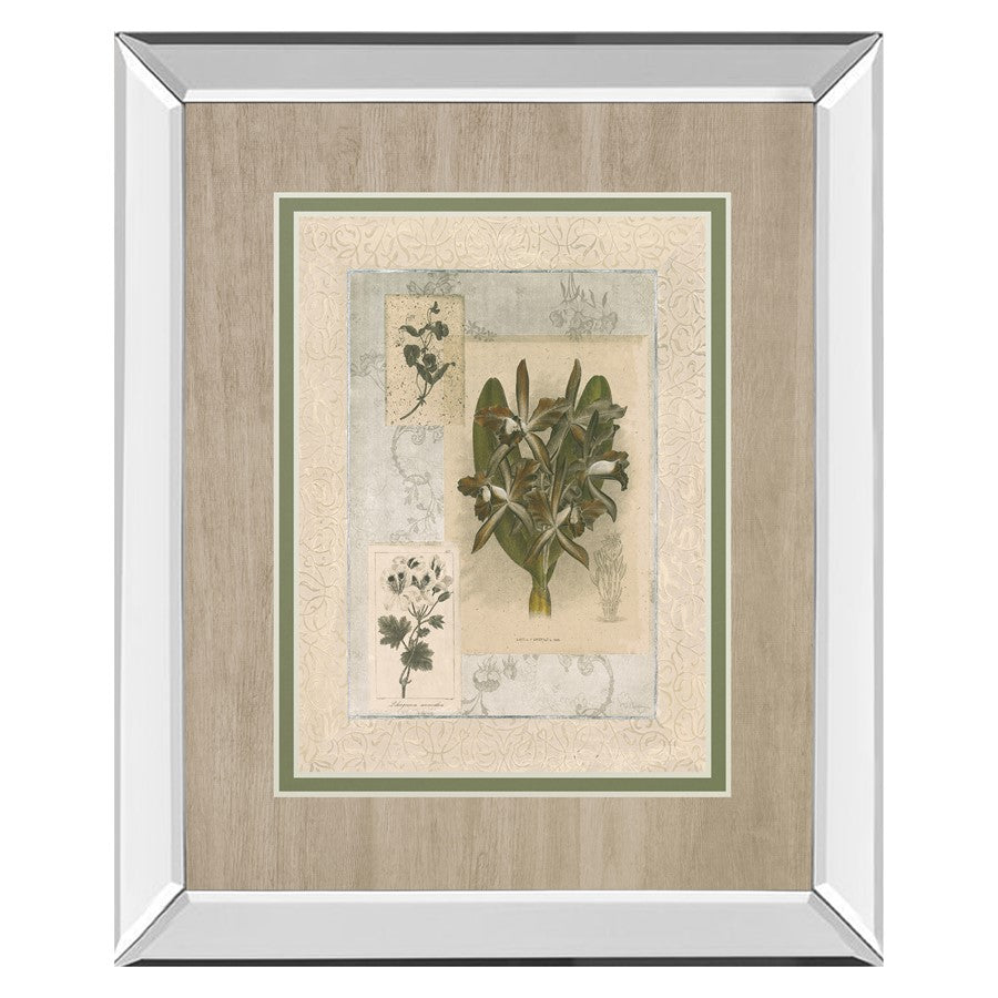 Classy Living Orchid Elegance Wall Art 34x40in | Transitional Mirrored Frame | Living Room, Bedroom & Office Decor | 3 x 34 x 40 in | Model DM5888MF