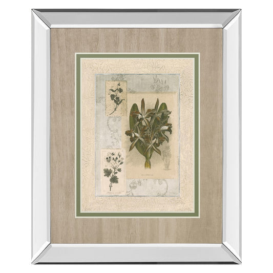 Classy Living Orchid Elegance Wall Art 34x40in | Transitional Mirrored Frame | Living Room, Bedroom & Office Decor | 3 x 34 x 40 in | Model DM5888MF