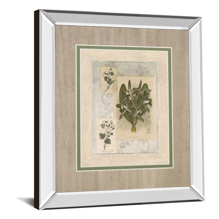 Classy Living Orchid Elegance Wall Art 34x40in | Transitional Mirrored Frame | Living Room, Bedroom & Office Decor | 3 x 34 x 40 in | Model DM5888MF