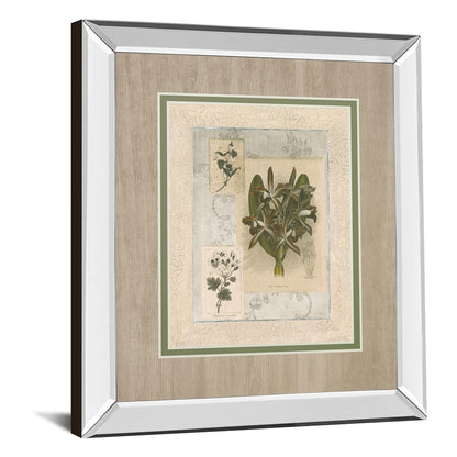 Classy Living Orchid Elegance Wall Art 34x40in | Transitional Mirrored Frame | Living Room, Bedroom & Office Decor | 3 x 34 x 40 in | Model DM5888MF