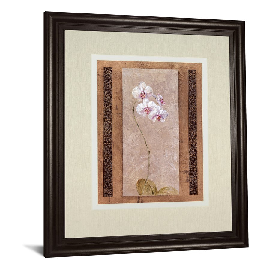 Classy Living Delicate Blossom 34x40in Wall Art | Contemporary Dark Chocolate MDF Frame | Living Room & Bedroom Botanical Decor | 34 x 40 x | Model DM5896