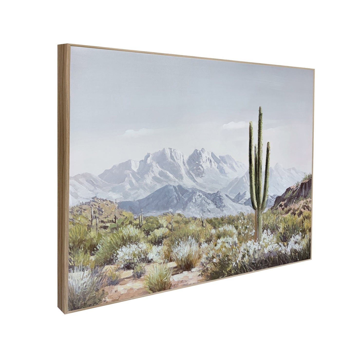Classy Living Resilient Sonoran Vista 32"x48", Brown/Black