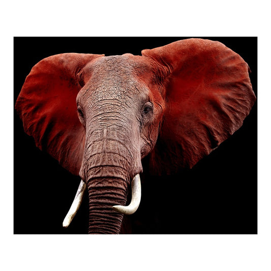 Classy Living Red Elephant 60x40in Frameless Glass Wall Art | Contemporary Multicolor Paper Art | Living Room & Office Focal Point | 60 x | Model SF1331