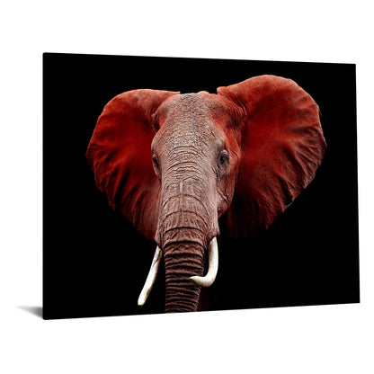 Classy Living Red Elephant 60x40in Frameless Glass Wall Art | Contemporary Multicolor Paper Art | Living Room & Office Focal Point | 60 x | Model SF1331