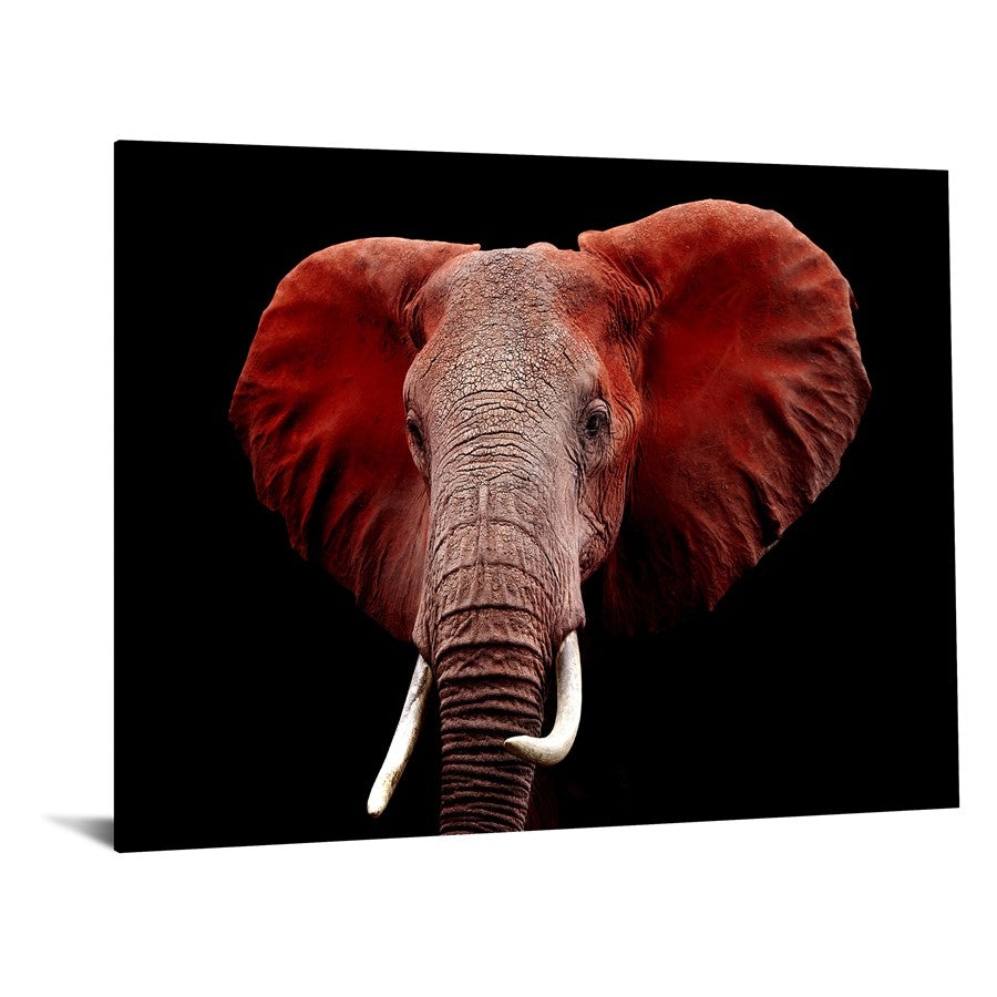 Classy Living Red Elephant 60x40in Frameless Glass Wall Art | Contemporary Multicolor Paper Art | Living Room & Office Focal Point | 60 x | Model SF1331