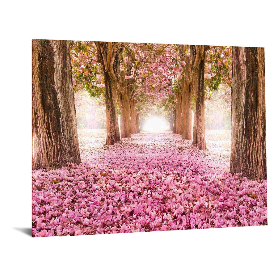 Classy Living Pink Cherry Blossom 60x40in Rectangle Wall Art | Contemporary Tempered Glass and Paper | Living Room, Bedroom & Office Decor | Model SF1343