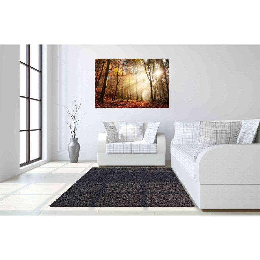 Classy Living Sunlight in Woods 60x40in Wall Art | Contemporary Frameless Tempered Glass | Living Room & Office Statement Piece | 60 x 40 x | Model SF1344