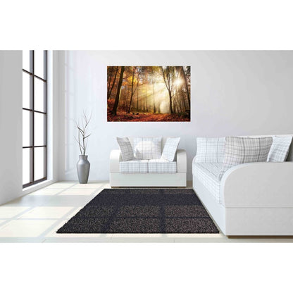 Classy Living Sunlight in Woods 60x40in Wall Art | Contemporary Frameless Tempered Glass | Living Room & Office Statement Piece | 60 x 40 x | Model SF1344