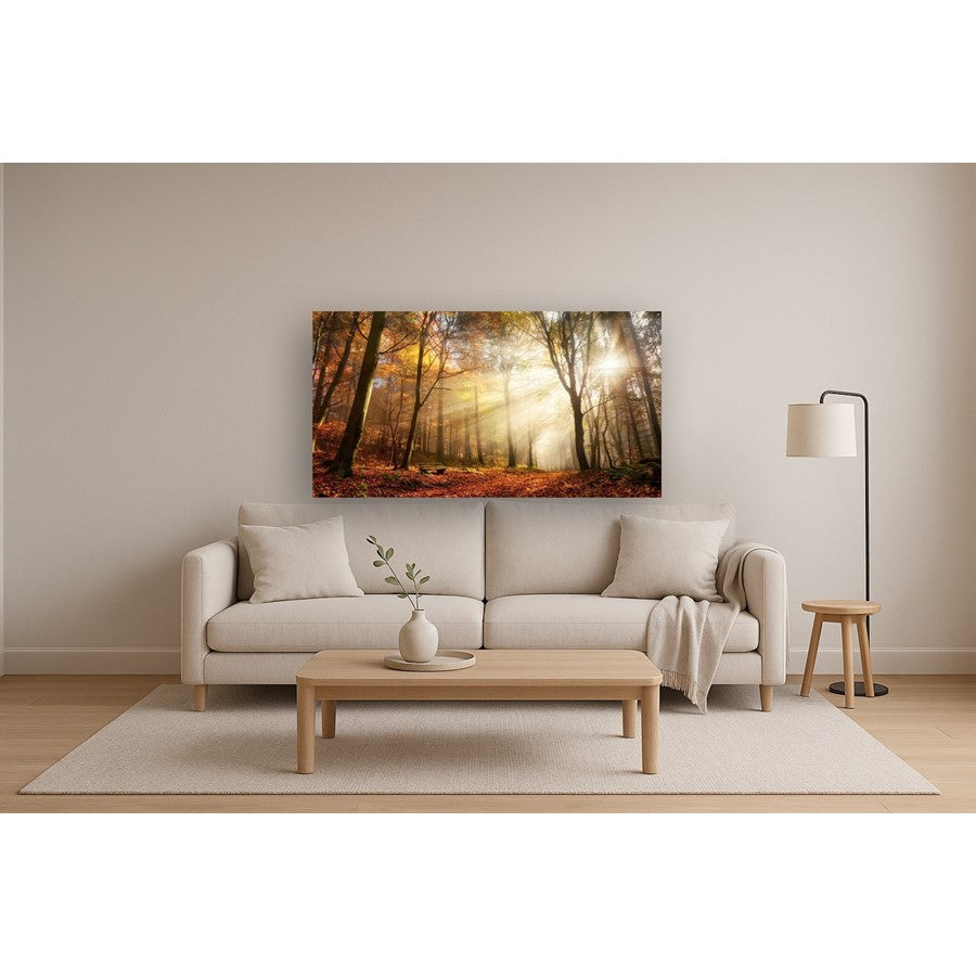 Classy Living Sunlight in Woods 60x40in Wall Art | Contemporary Frameless Tempered Glass | Living Room & Office Statement Piece | 60 x 40 x | Model SF1344