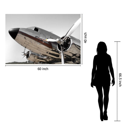 Classy Living Chrome Aircraft 60x40in Wall Art | Contemporary Silver Tempered Glass Frameless | Living Room & Office Decor | 60 x 40 x | Model SF1345