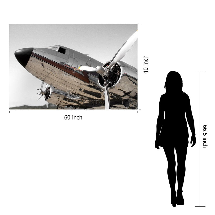 Classy Living Chrome Aircraft 60x40in Wall Art | Contemporary Silver Tempered Glass Frameless | Living Room & Office Decor | 60 x 40 x | Model SF1345