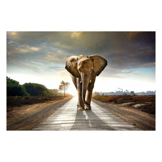 Classy Living Elephant Journey 60x40in Wall Art | Contemporary Tempered Glass Graphic Art | Living Room & Office Decor | 60 x 40 x 0.125 in | Model SF1349