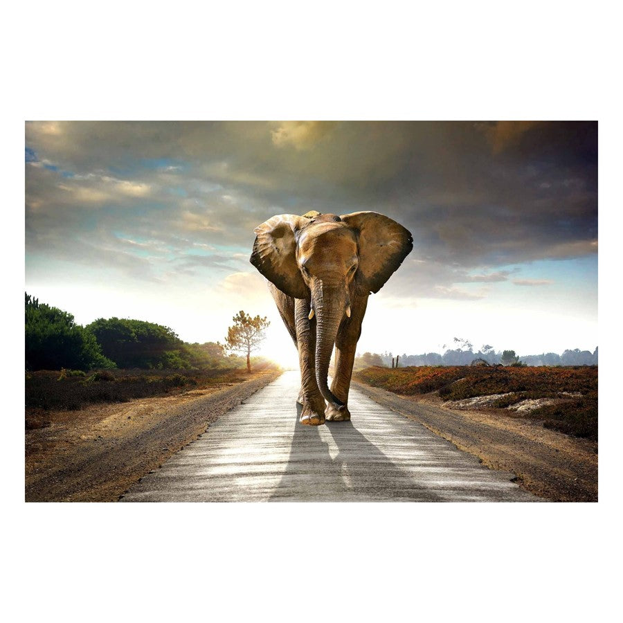 Classy Living Elephant Journey 60x40in Wall Art | Contemporary Tempered Glass Graphic Art | Living Room & Office Decor | 60 x 40 x 0.125 in | Model SF1349