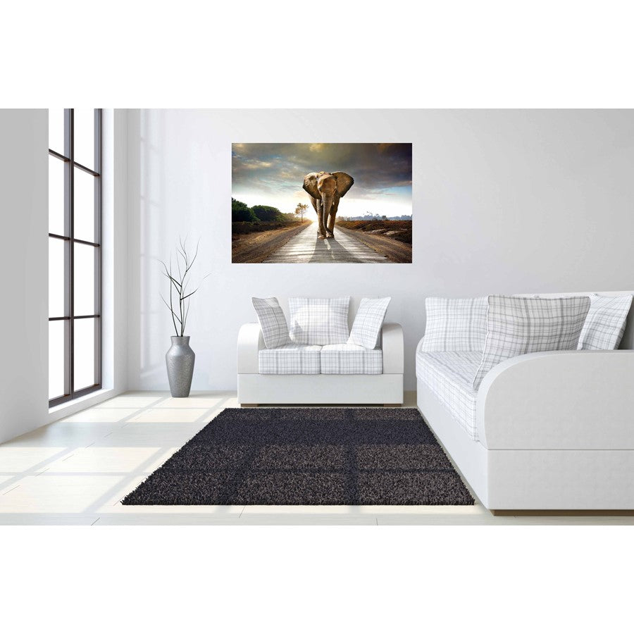 Classy Living Elephant Journey 60x40in Wall Art | Contemporary Tempered Glass Graphic Art | Living Room & Office Decor | 60 x 40 x 0.125 in | Model SF1349