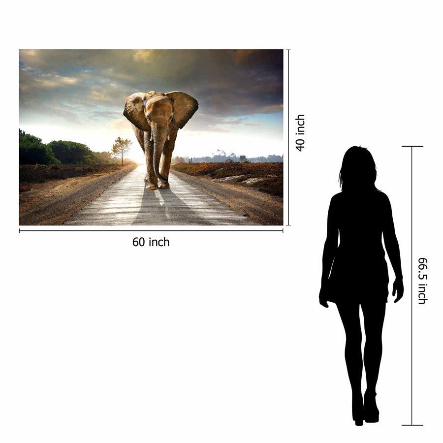 Classy Living Elephant Journey 60x40in Wall Art | Contemporary Tempered Glass Graphic Art | Living Room & Office Decor | 60 x 40 x 0.125 in | Model SF1349