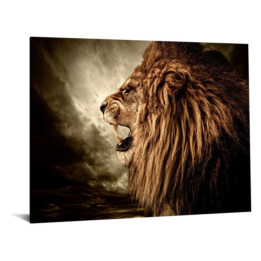 Classy Living Hear Me Roar 60x40in Frameless Glass Wall Art | Contemporary Multicolor Paper Art | Living Room & Office Statement Piece | 60 | Model SF1355