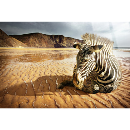 Classy Living Untamed Striped Respite 40"x60", Black/White/Tan/Brown