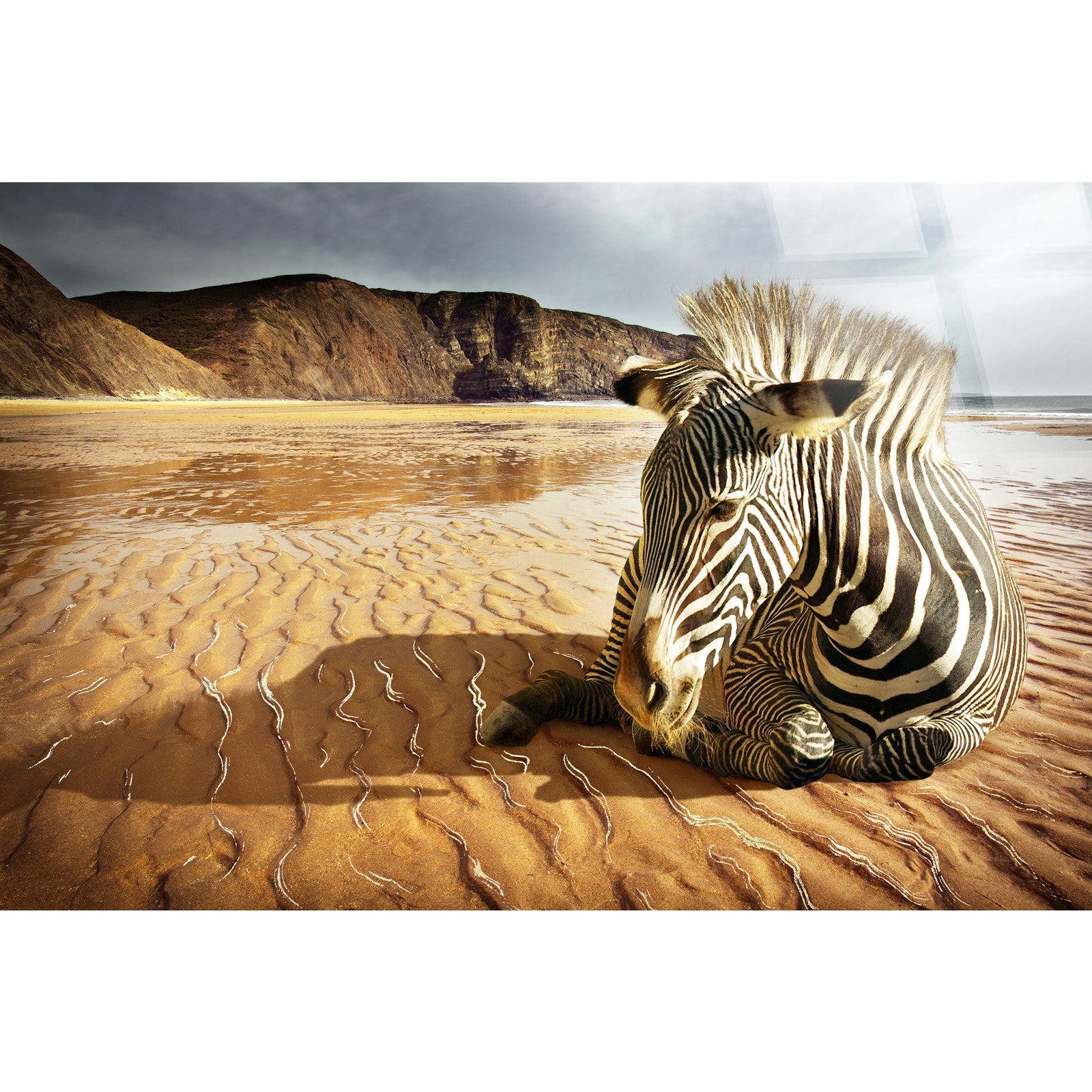 Classy Living Untamed Striped Respite 40"x60", Black/White/Tan/Brown
