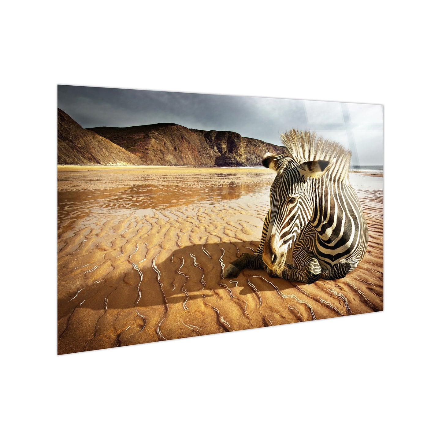 Classy Living Untamed Striped Respite 40"x60", Black/White/Tan/Brown
