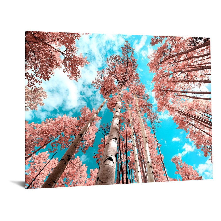 Classy Living Cherry Blossom Heights 60x40in Wall Art | Contemporary Frameless Tempered Glass | Living Room & Office Decor | 60 x 40 x | Model SF1372