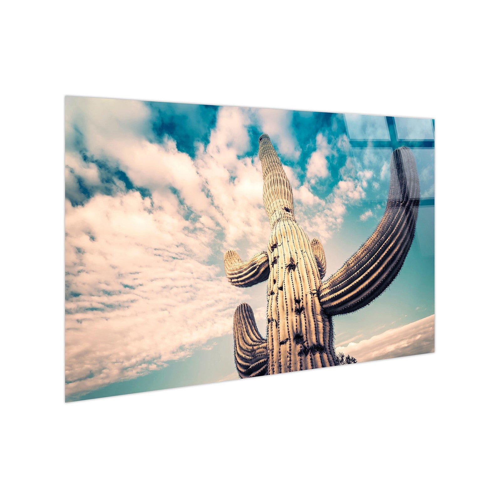 Classy Living Resilient Desert Sentinel 40"x60", Beige/Teal/White
