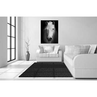 Classy Living White Horse 40x60in Frameless Glass Wall Art | Contemporary Black & White Horse Photography | Living Room & Office Decor | 40 | Model SF1375