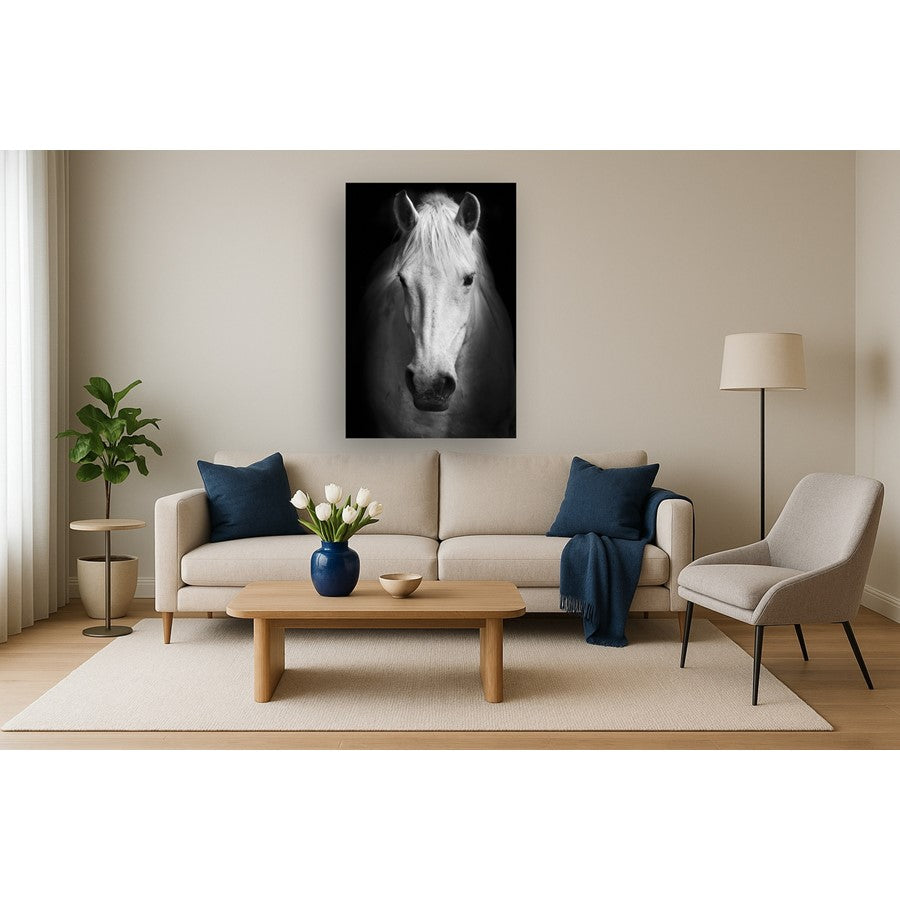 Classy Living White Horse 40x60in Frameless Glass Wall Art | Contemporary Black & White Horse Photography | Living Room & Office Decor | 40 | Model SF1375