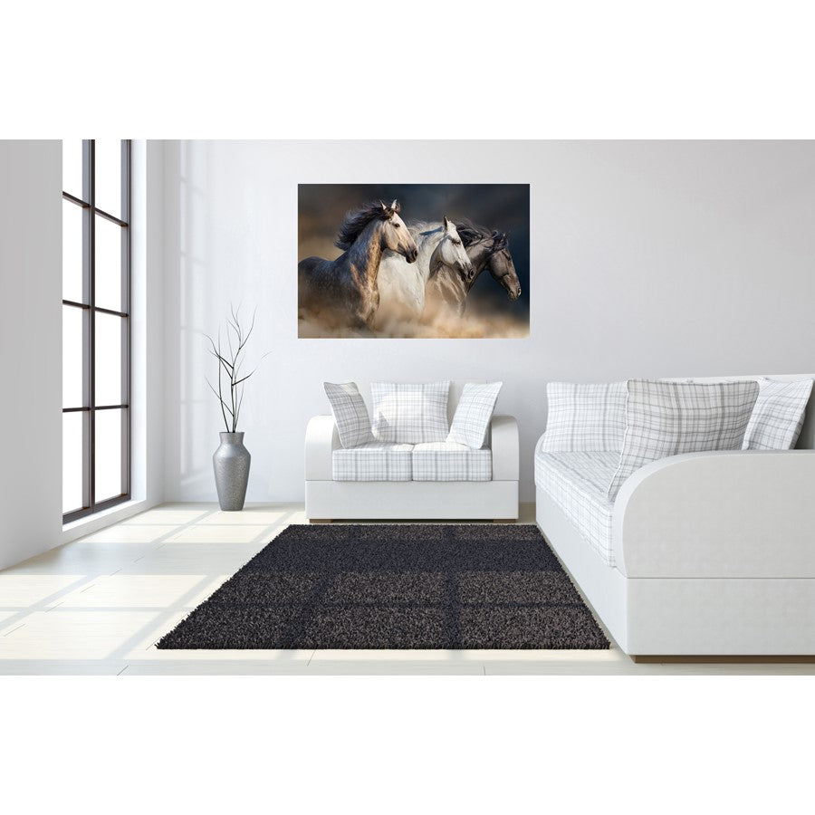Classy Living Wild Stallion Trio 60x40in Glass Wall Art | Contemporary Frameless Tempered Glass | Living Room & Office Statement Piece | 60 | Model SF1376