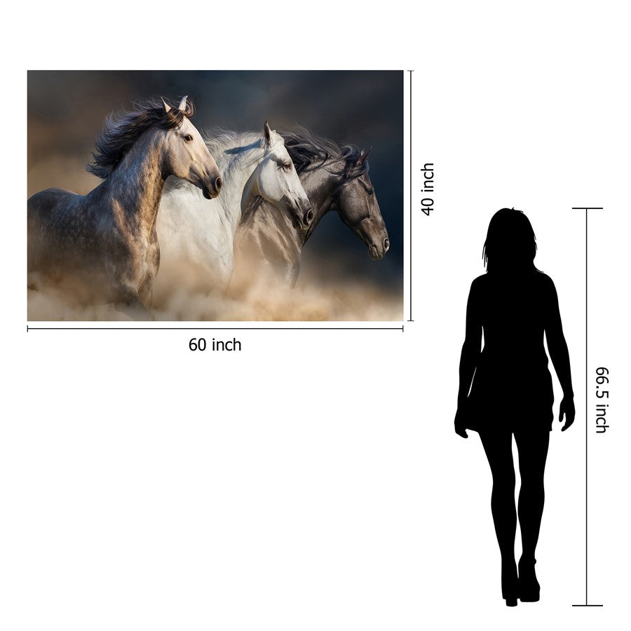 Classy Living Wild Stallion Trio 60x40in Glass Wall Art | Contemporary Frameless Tempered Glass | Living Room & Office Statement Piece | 60 | Model SF1376