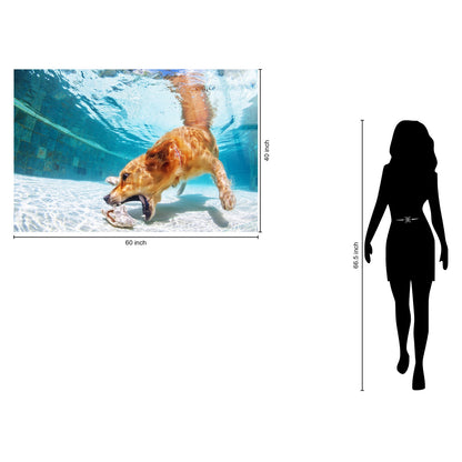 Classy Living Adventurous Poolside Retriever 40"x60", Blue/White/Tan