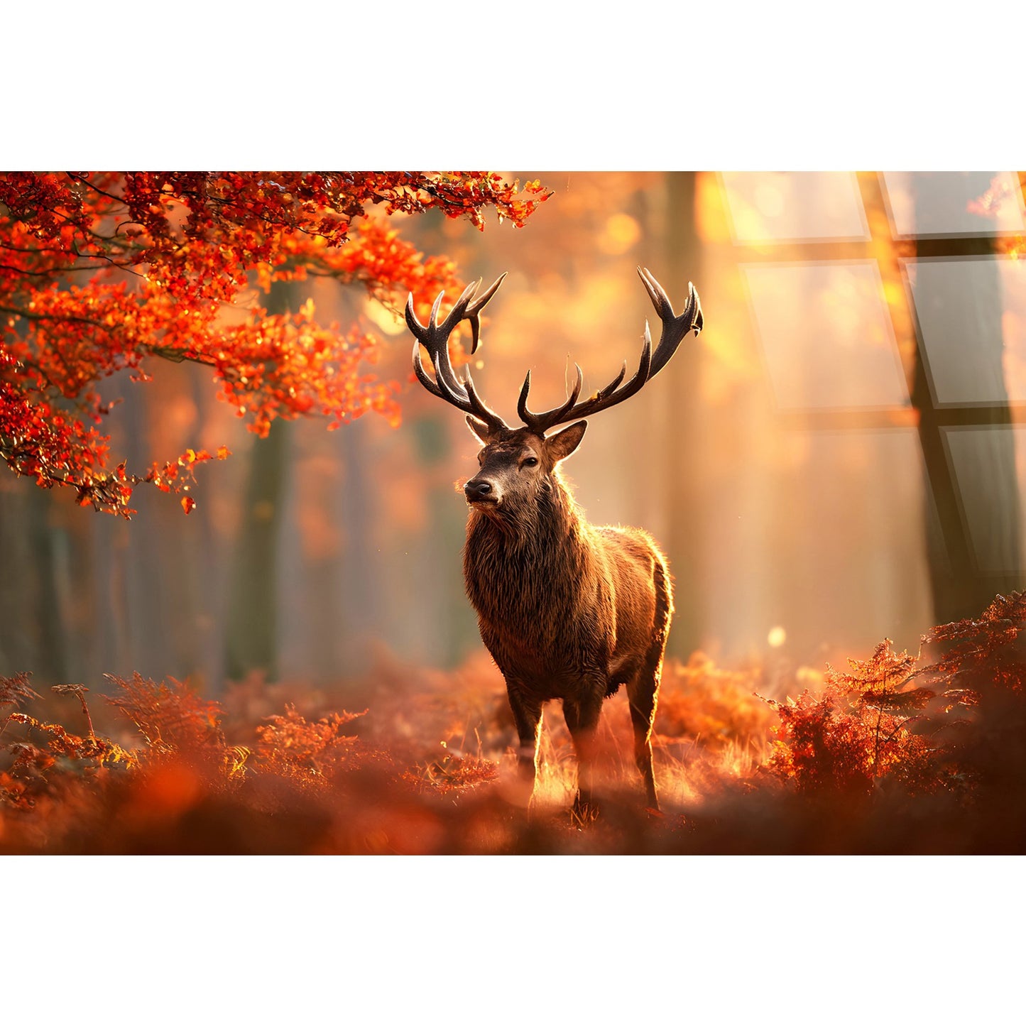 Classy Living Expansive Autumn Stag 40"x60", Amber/Brown/Orange