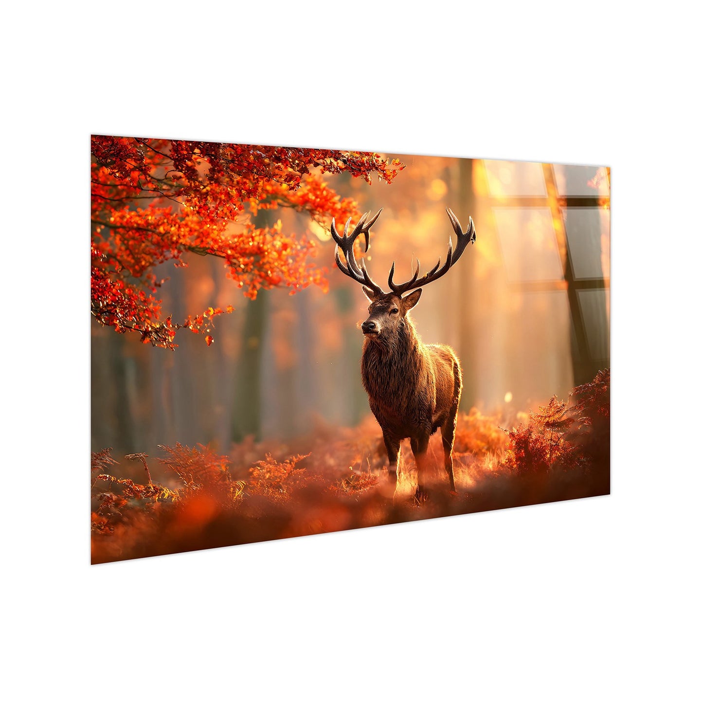 Classy Living Expansive Autumn Stag 40"x60", Amber/Brown/Orange