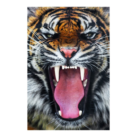 Classy Living Tigers Teeth 40x60in Frameless Glass Wall Art | Contemporary Multicolor Paper Print | Living Room & Office Decor | 40 x 60 x | Model SF1390