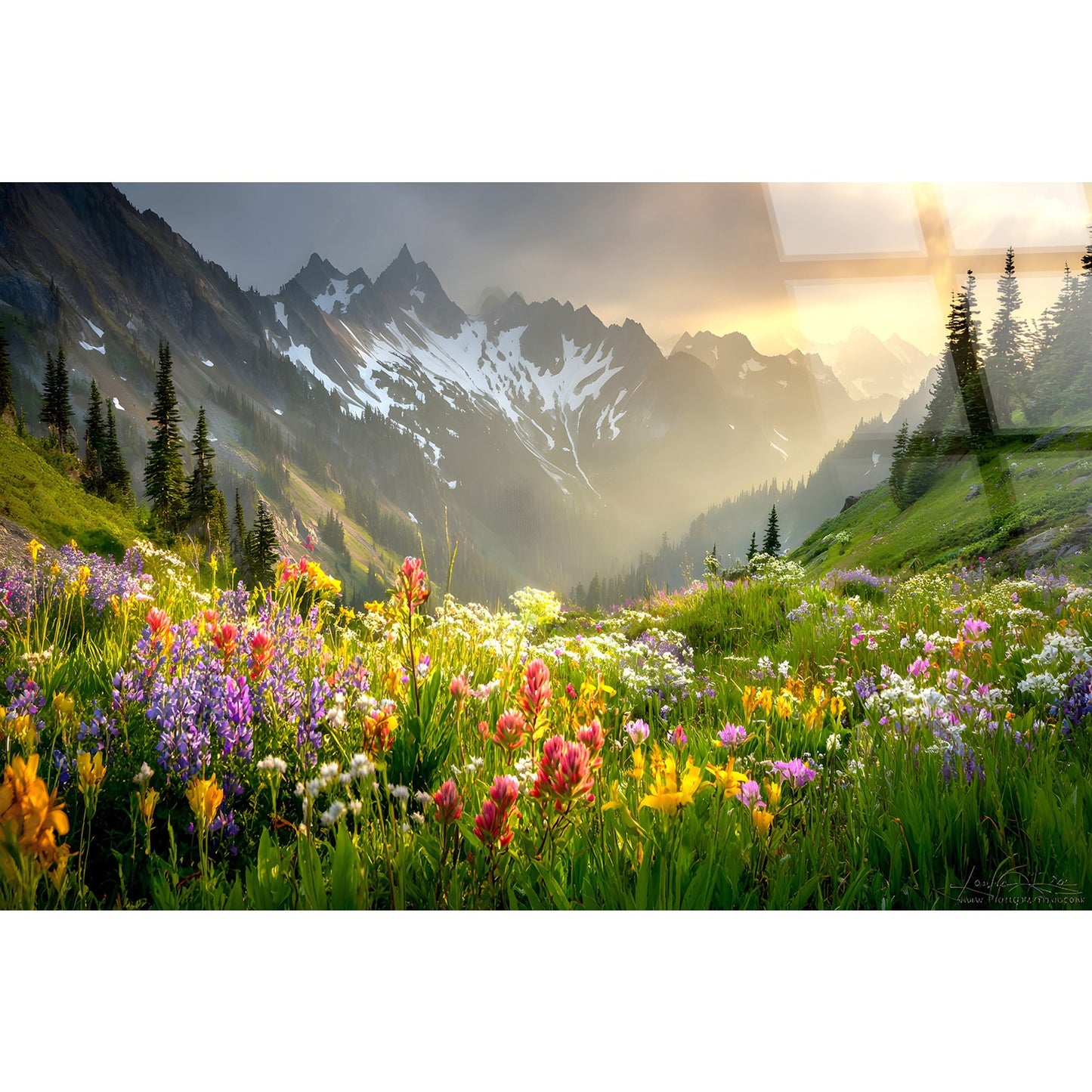 Classy Living Vibrant Alpine Wildflower Misty, Green/Gold/Purple/White