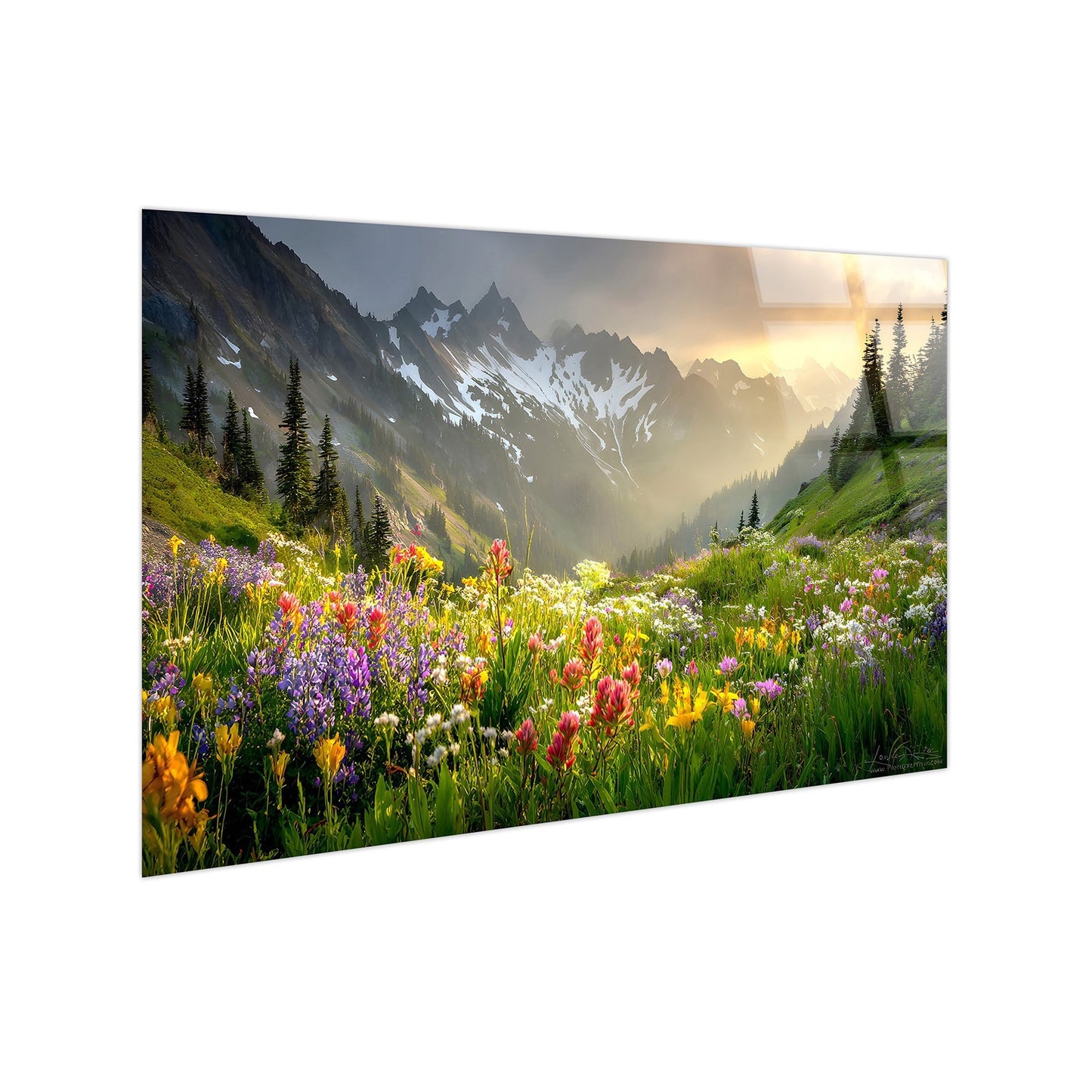 Classy Living Vibrant Alpine Wildflower Misty, Green/Gold/Purple/White