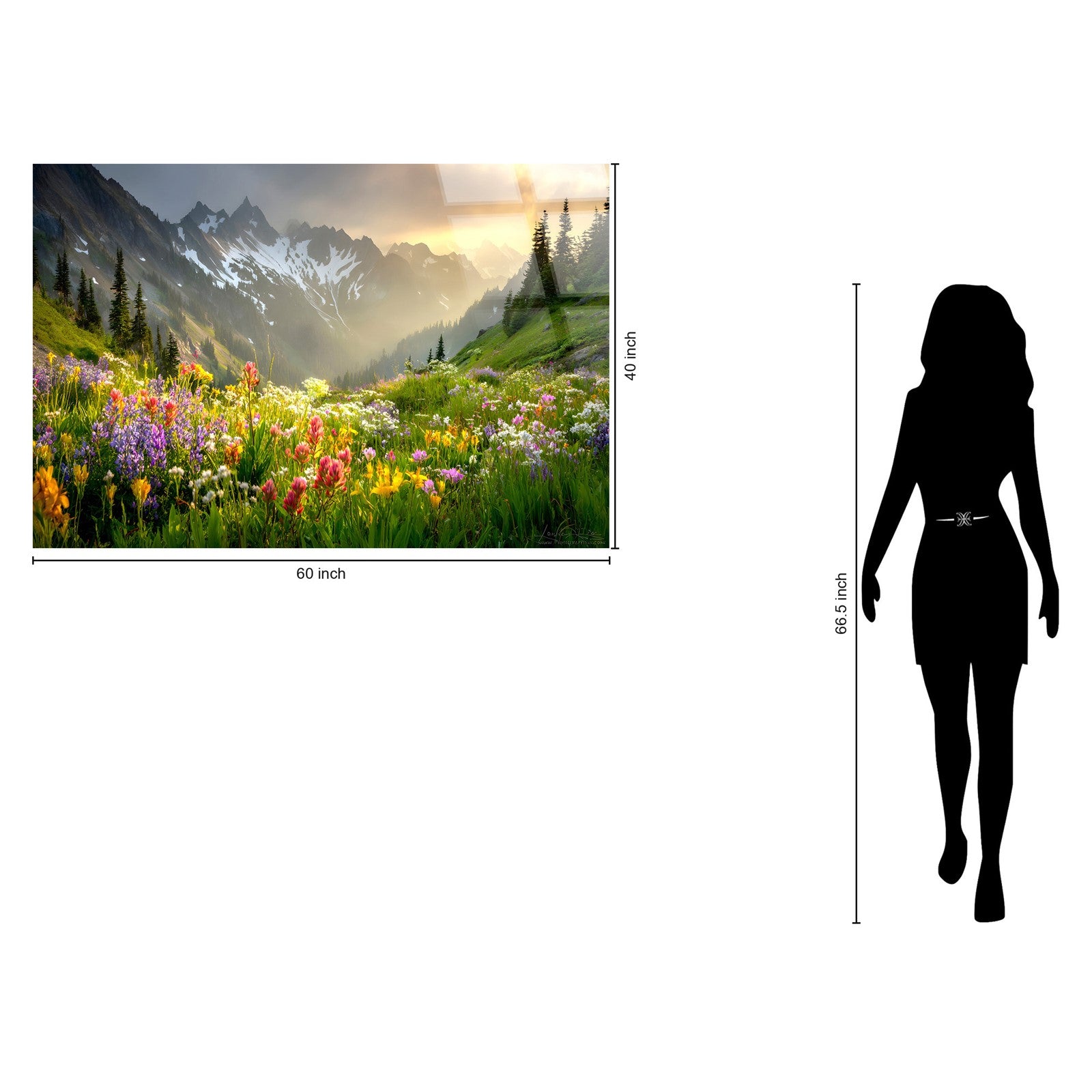 Classy Living Vibrant Alpine Wildflower Misty, Green/Gold/Purple/White