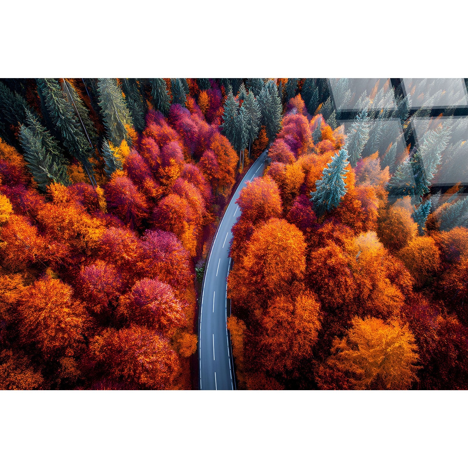 Classy Living Expansive Autumn Bend 40"x60", Orange/Red/Green/Black